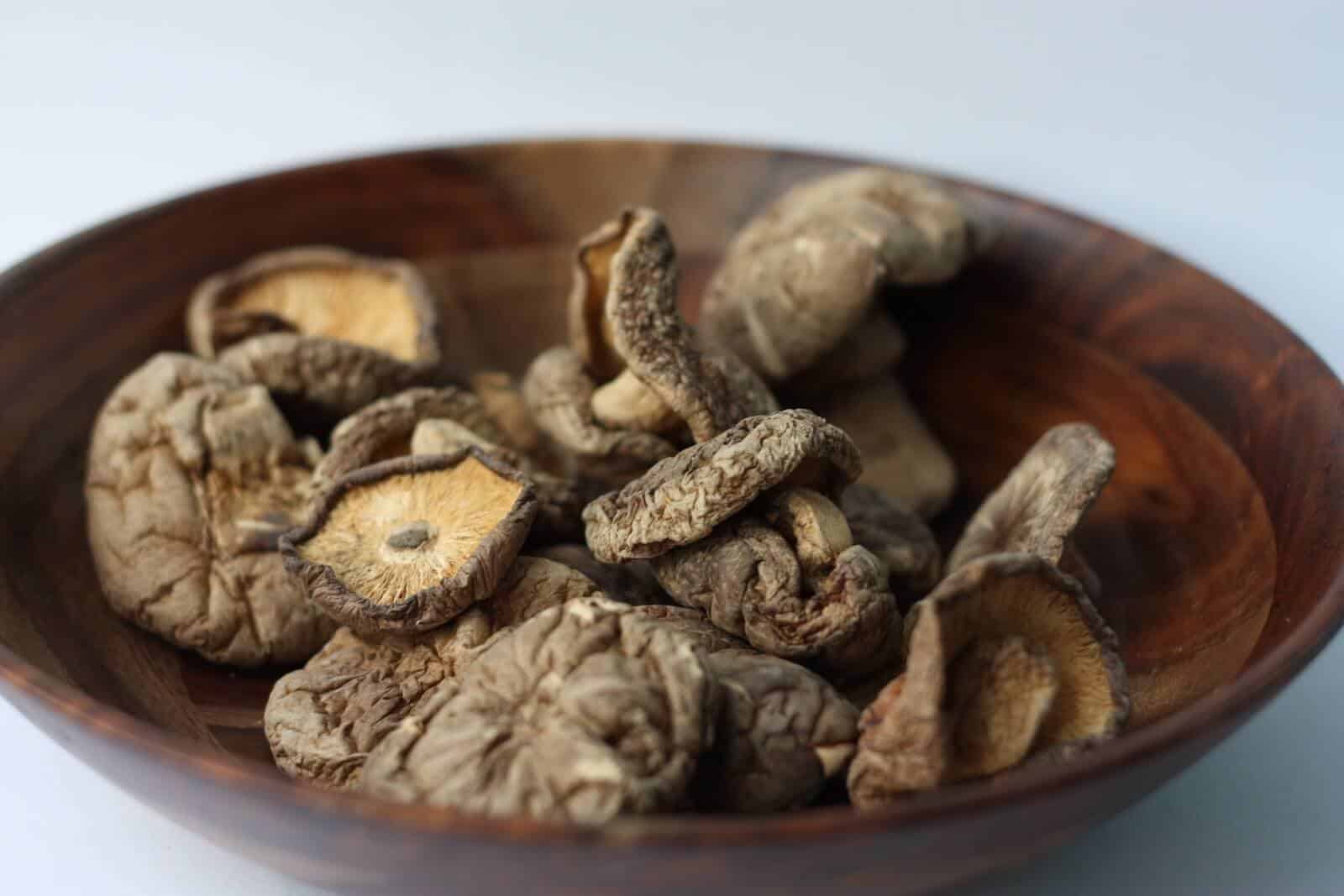 medicinal mushrooms what are they