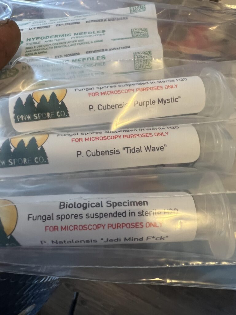 Image #2 from Douglas B.