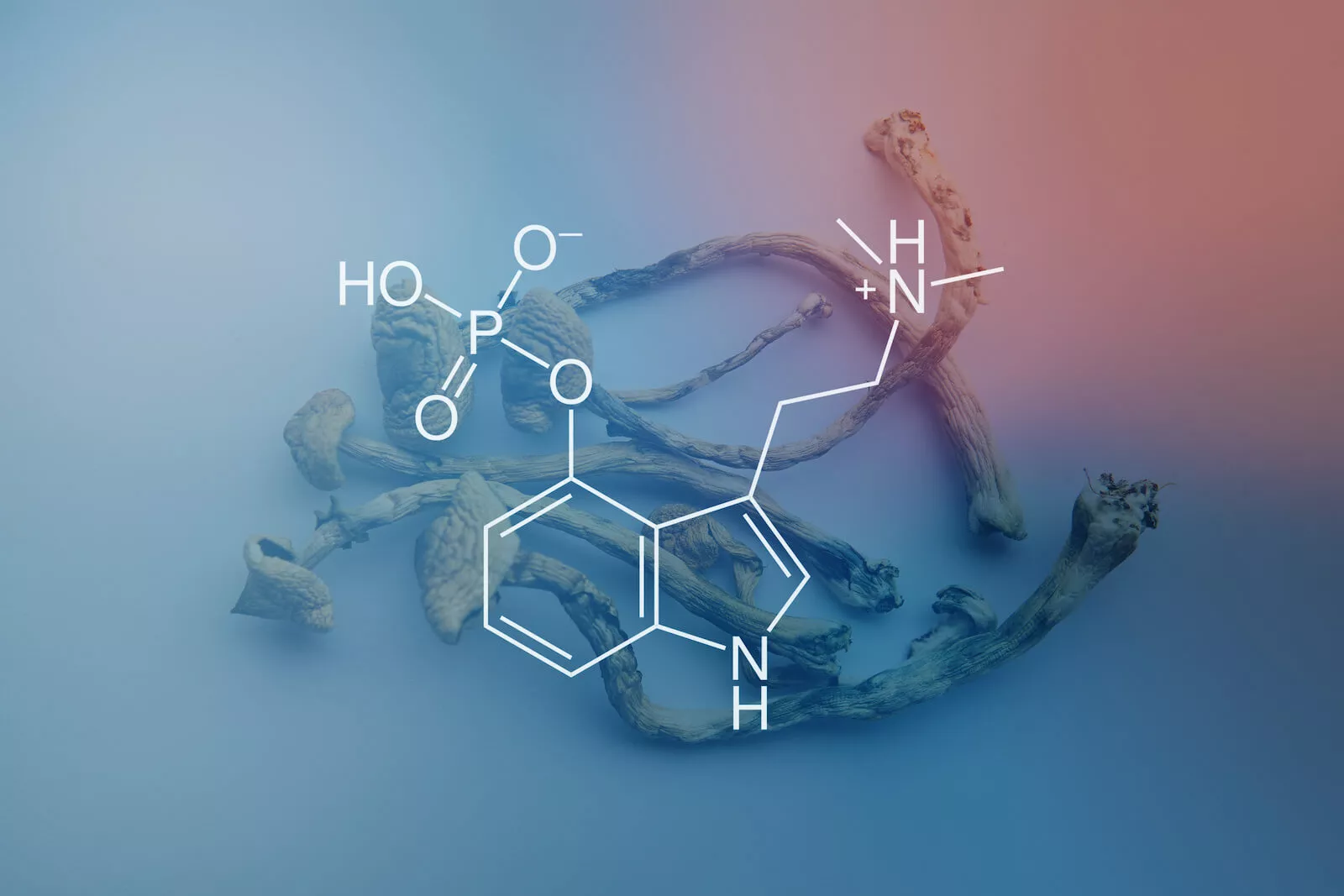psilocybin molecule