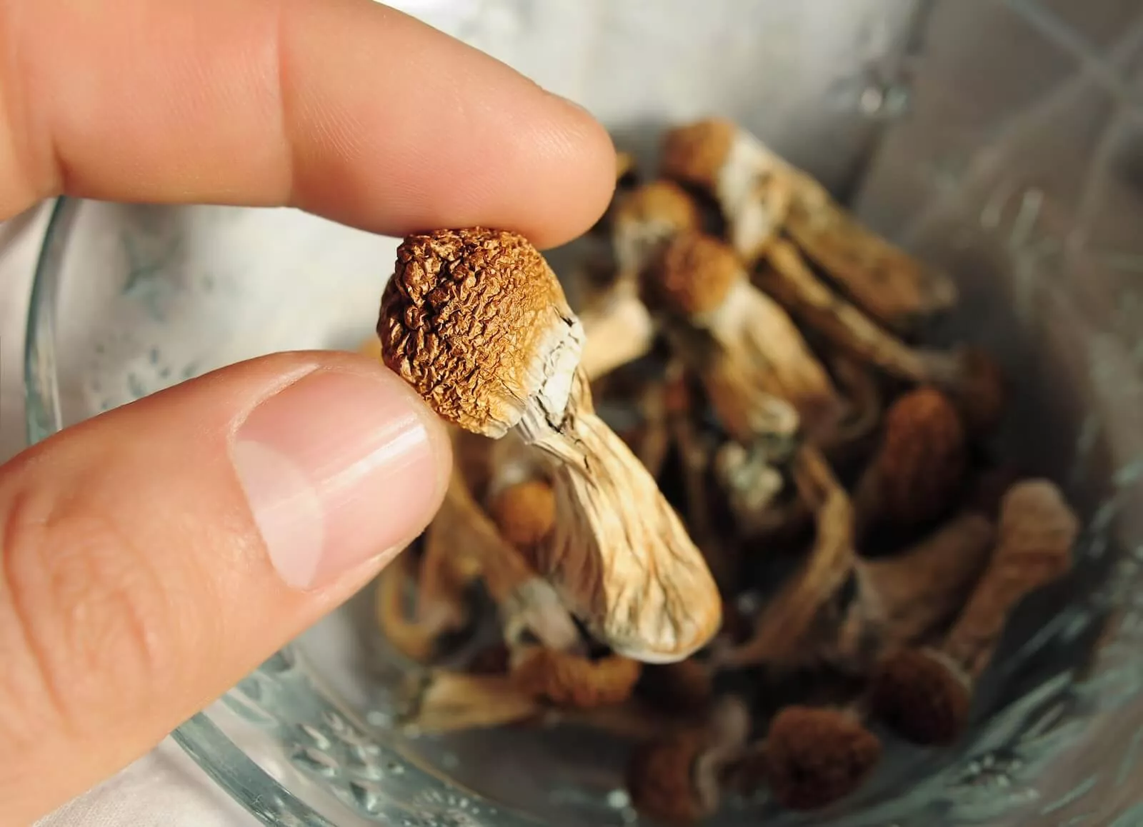 what is psilocybin assisted therapy