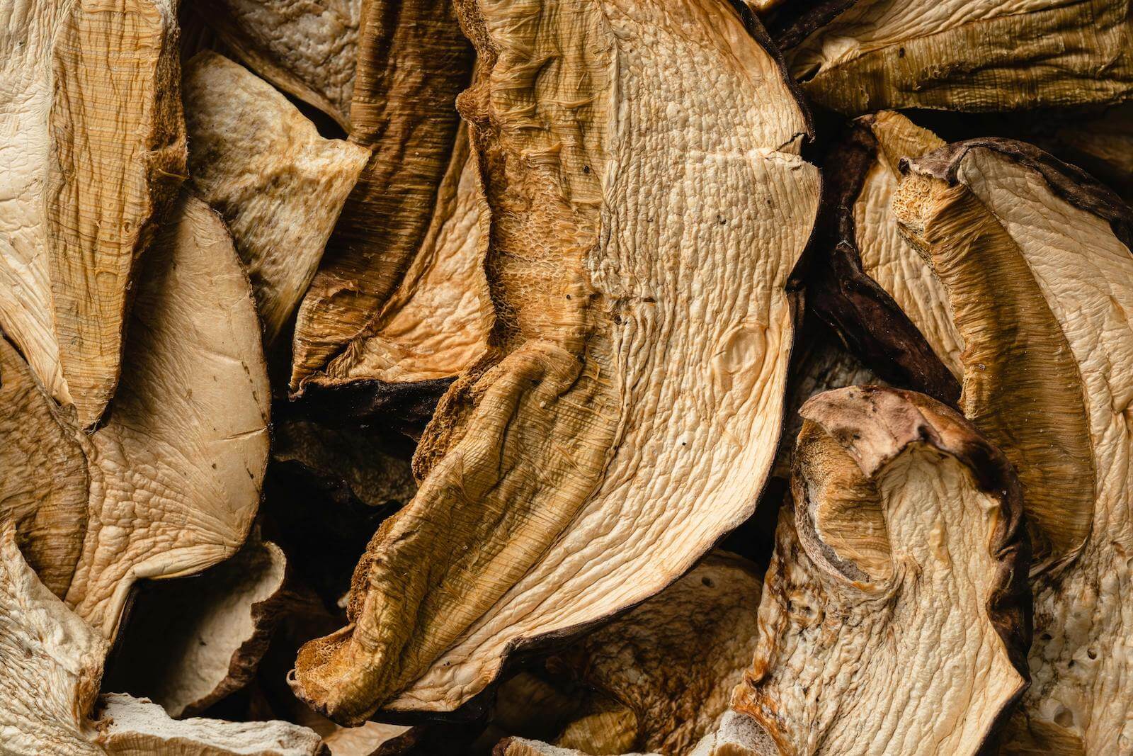 how to dehydrate mushrooms